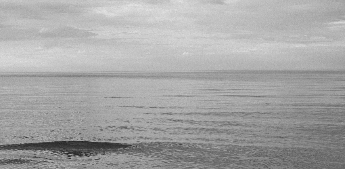 Acknowledge + Acceptance